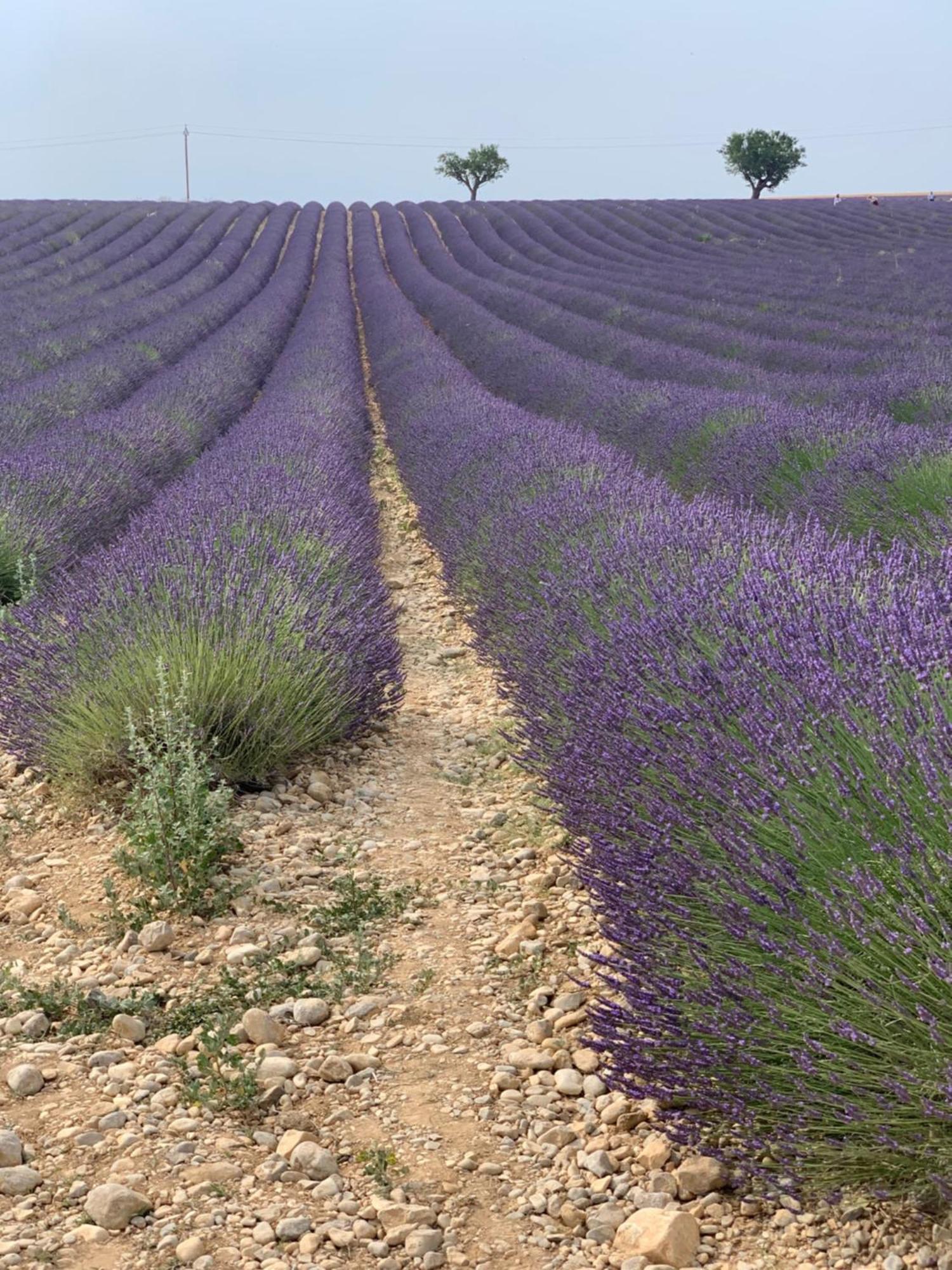 Studios Nuitee En Provence Экс-ан-Прованс Экстерьер фото